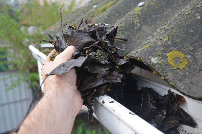 Downspout Cleaning in Baltimore, MD